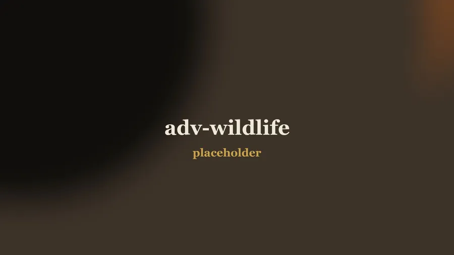 Wildlife expedition